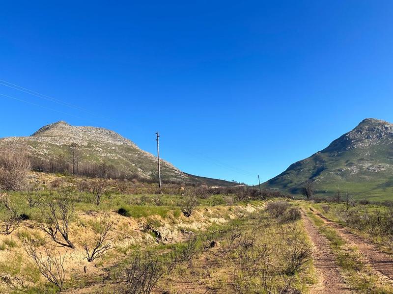 0 Bedroom Property for Sale in Kareedouw Eastern Cape